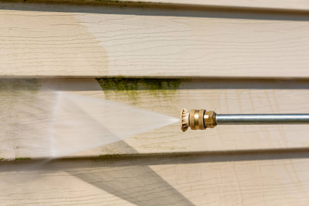 Best Roof Pressure Washing  in Sparta, IL